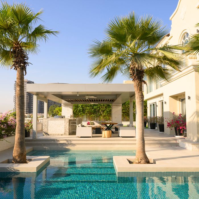 Les 5 arbres à éviter absolument autour de votre piscine