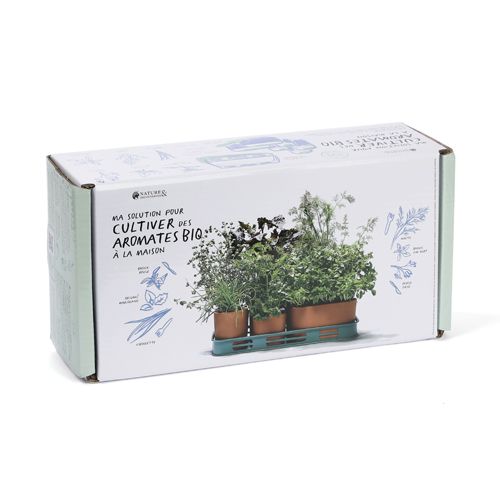 découvrez mon expérience avec la culture maison : comment j'ai cultivé 6 pots avec succès et les conseils pour réussir chez vous.